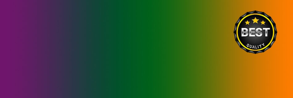 Mengapa Mahasiswa Indonesia di Luar Negeri Perlu Jasa Penerjemah Bahasa ?